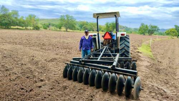 Gobierno tecnifica más de 130 hectáreas agrícolas