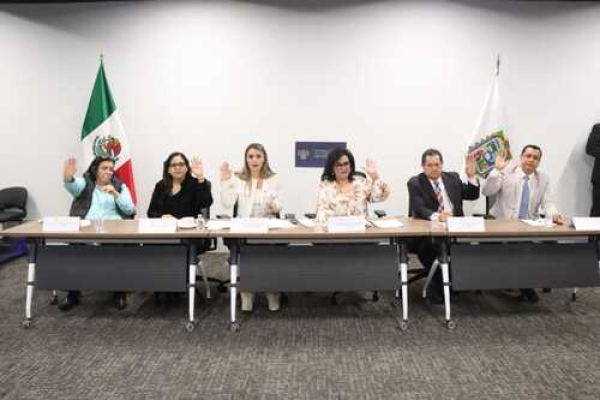 Exhortan a la adopción a perros callejeros