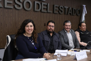 Congreso da seguimiento a la AVGM