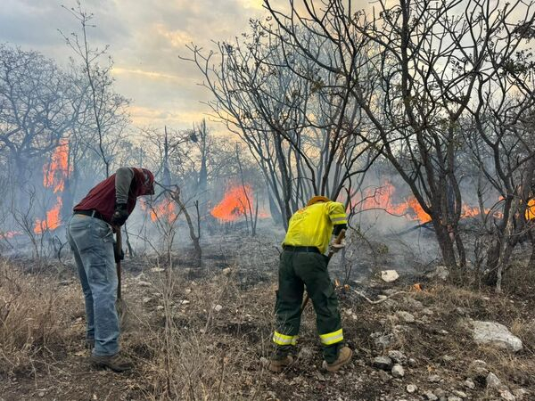 Continúa combate a incendio forestal en Cohetzala