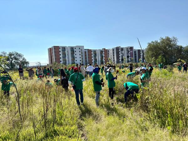 Ayuntamiento inicia reforestación del Cerro de Amalucan