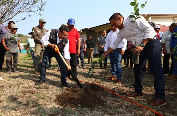Pável Gaspar encabeza reforestación en Tepeojuma