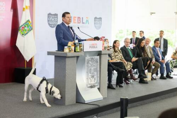 “La Ciudad de los Seres Sintientes” será una realidad