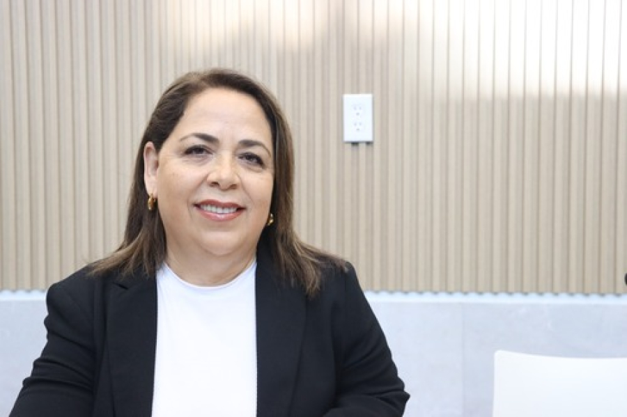 Congreso avanza en materia de inclusión: Amieva