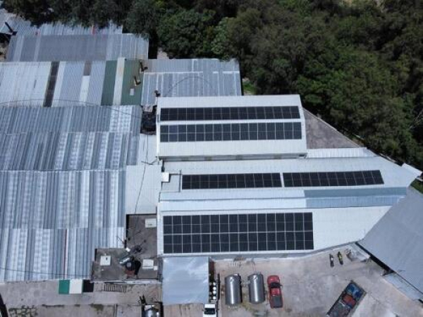 Apoyos verdes fortalecen a MiPyMEs