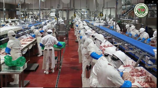 Altosano - Granjas Carroll cumple 7 años en operación y crecimiento