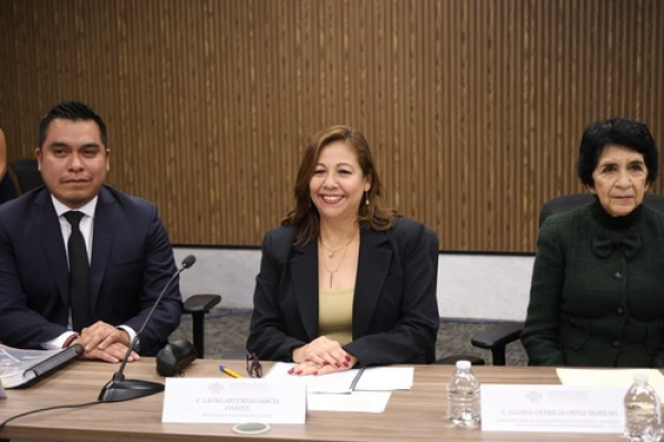 Bienestar comparece ante el Congreso