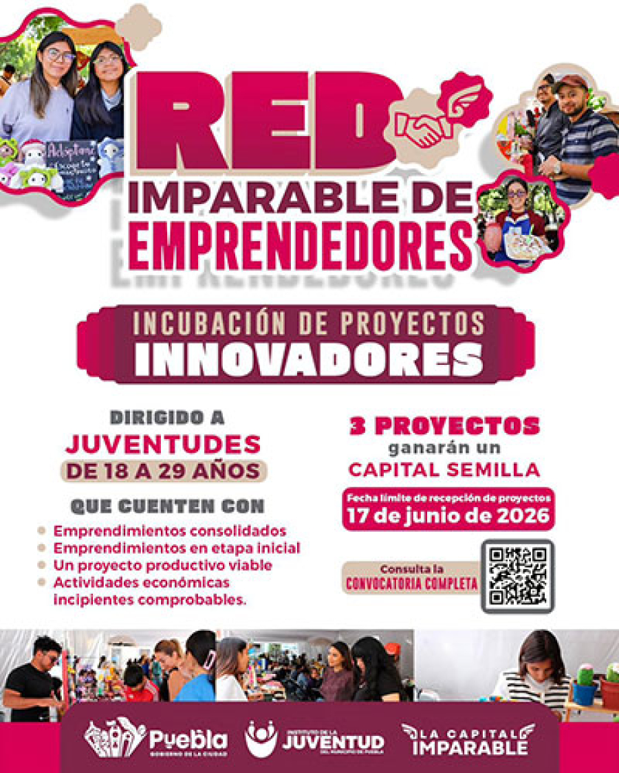 Forma de parte de la Red de Emprendedores por incubación