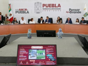 Lirio acuático como mejorador de suelo: SMADSOT
