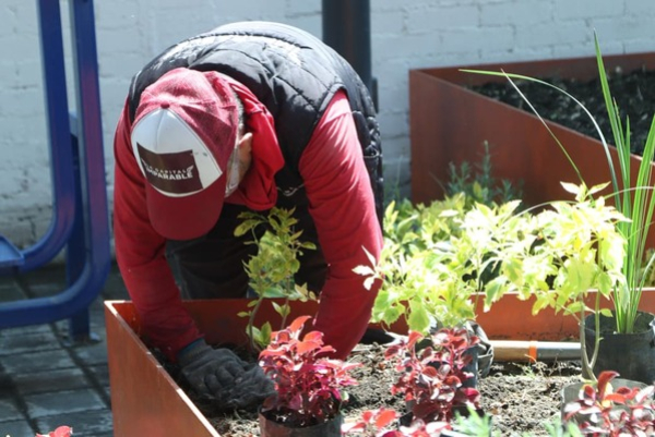 Gobierno Municipal continúa labores de chapeo y poda
