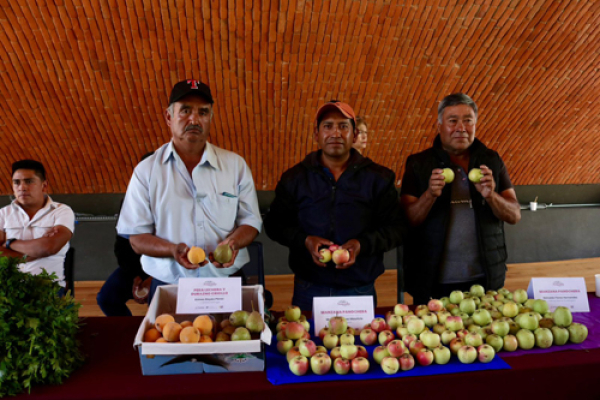 Comienza la temporada de Chiles en Nogada