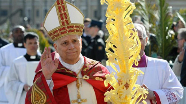 Llama el Papa León XIV contra la violencia y la guerra en Domingo de Ramos