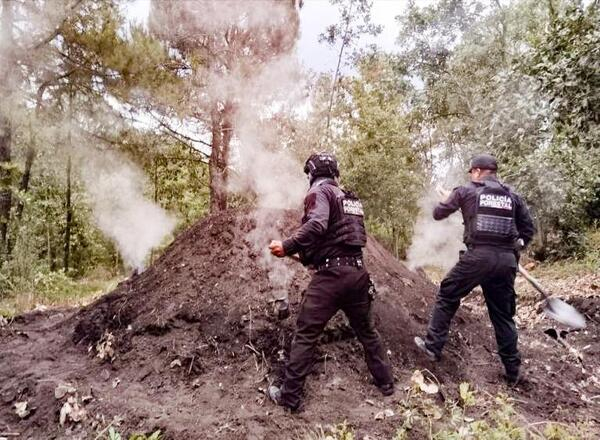 SSP destruye 11 hornos clandestinos