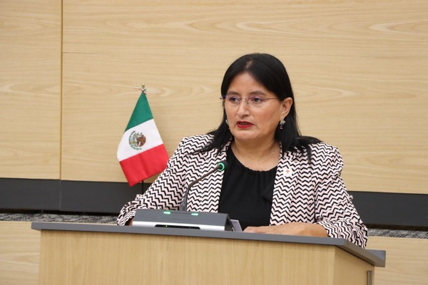 Buscan sancionar negligencia contra animales