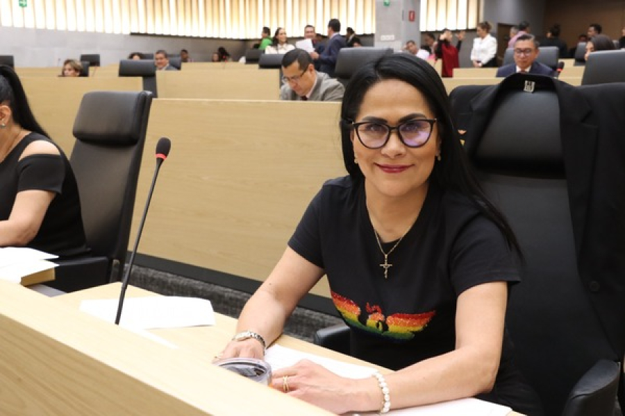 Presentan iniciativas a favor de la diversidad sexual