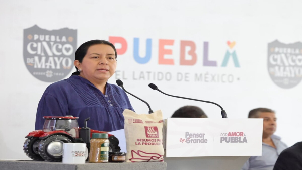 Confirman casos de gusano barrenador en Puebla