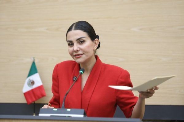 Buscan incorporar telemedicina al Sistema de Salud