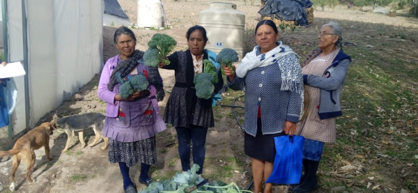 SEDIF impulsa “Salud y Bienestar Comunitario”