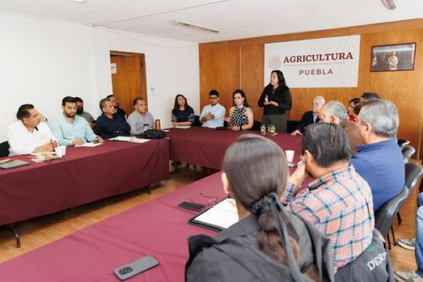 Puebla y federación impulsan industria agrícola