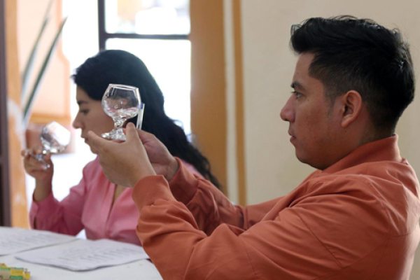 Finaliza etapa concurso Cata de Mezcal y Destilados de Agave