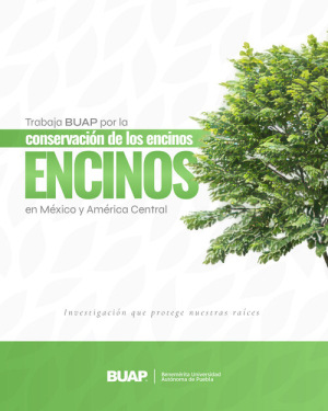BUAP busca la conservaci&oacute;n de encinos