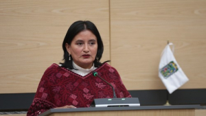 Analizar&aacute;n Consulta a Pueblos y Comunidades Ind&iacute;genas