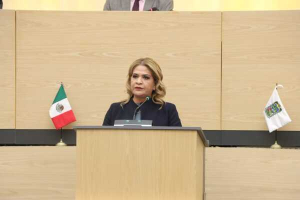 Comparece ante el Congreso la titular de la SPFA