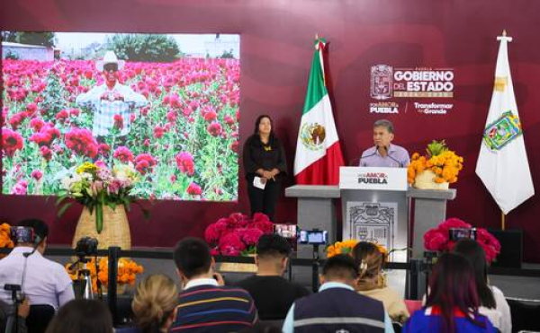 Lista la venta de cempasúchil y terciopelo en Atlixco