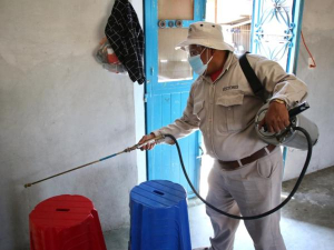 Se reducen 91 por ciento casos de dengue en 2025