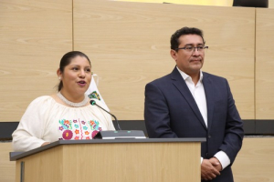 Piden reforestación estatal con especies nativas