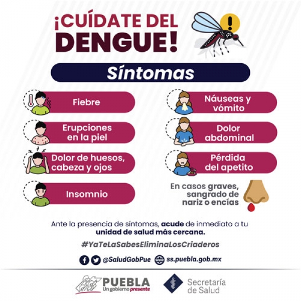 Detectan dengue en 106 municipios: SS