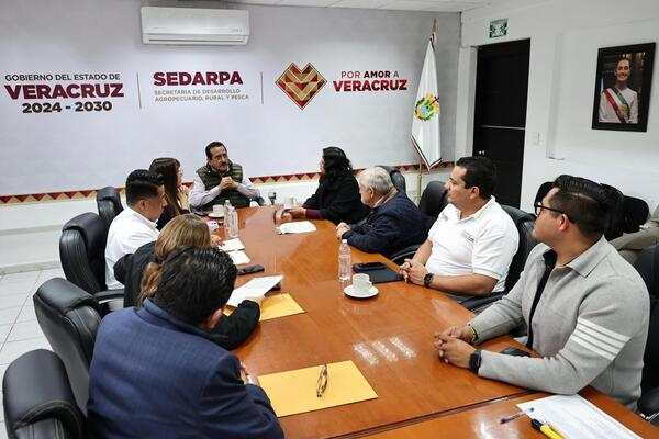 Puebla y Veracruz impulsan internación apícola