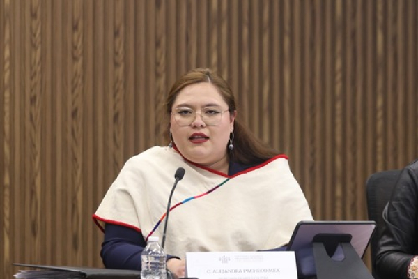 Arte y Cultura comparece en el Congreso