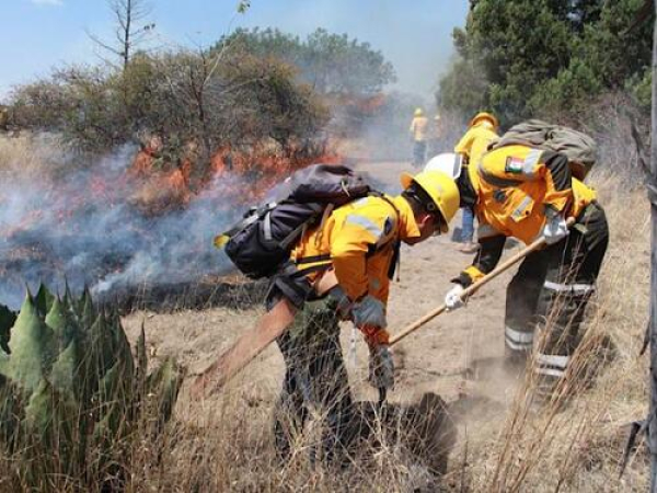Policía Forestal destaca avances en 2025