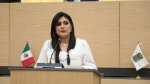 Congreso: Profesionalizar defensoría pública en materia de Igualdad