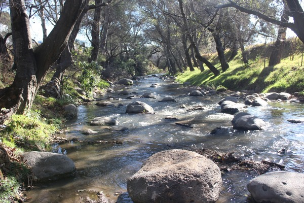 CEASPUE invertirá 423 en saneamiento del Atoyac
