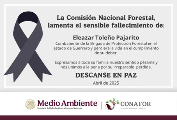 Pierde la vida combatiente de la Conafor