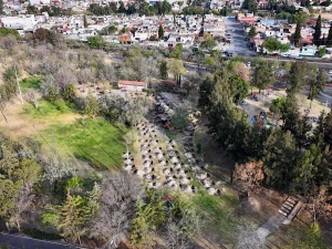 Bosque urbano generar&aacute;n bienestar en Puebla