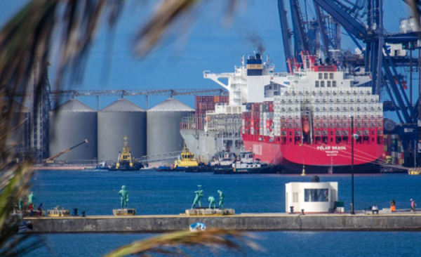Sector campesino exige que el campo sea prioridad en revisión del T-MEC