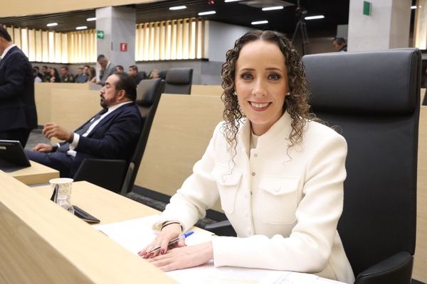 Castigar cohabitación forzada como delito grave: Riestra