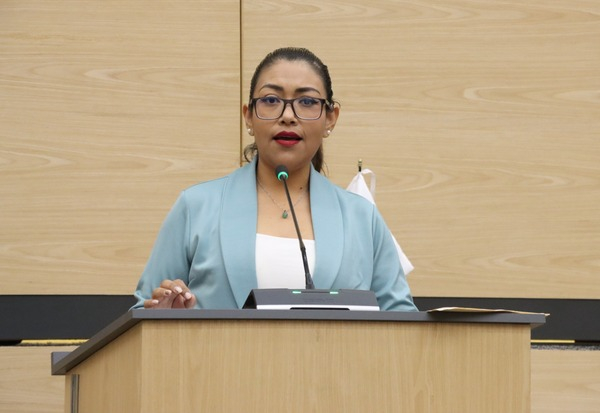 Reforma al Código Civil sobre permisos de viaje