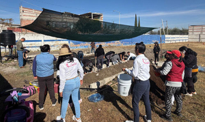 "El Camino Hacia Escuelas Sustentables" iniciativa ecol&oacute;gica