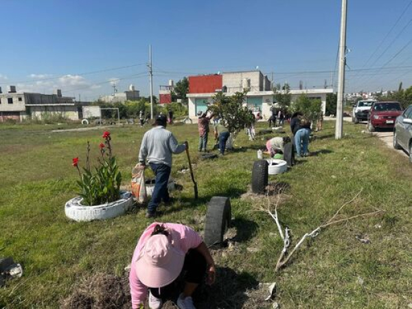 Con &quot;Raíces del Futuro&quot;, 2 mil 600 árboles se plantaron en octubre