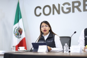 Congreso busca tipificaci&oacute;n del transhomicidio