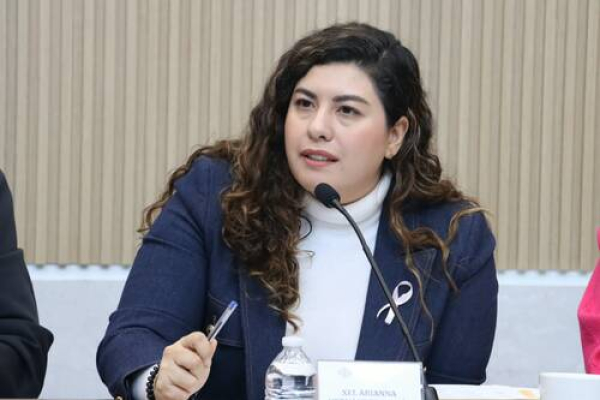 Cablebús no dañará parques en Puebla: Xel Arianna