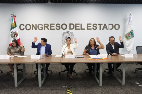 Comisión pide revisar portal del Registro de Organizaciones