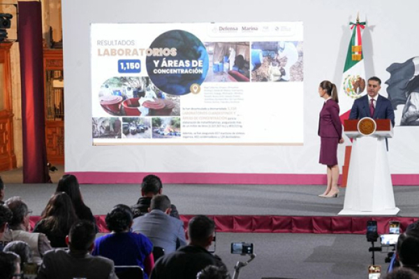 Gobierno Federal ha asegurado ocho toneladas de droga