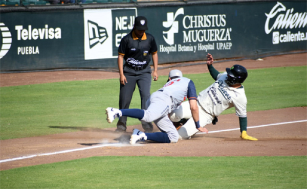 Pericos abona nueva serie sobre Tigres de Quintana Roo