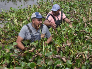 Inicia recuperaci&oacute;n de la Laguna de Chignahuapan
