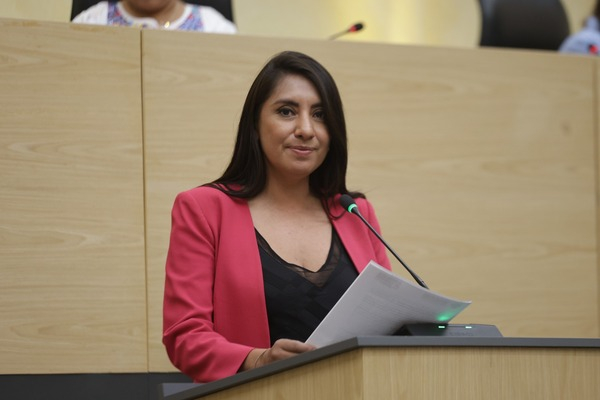 Congreso armoniza ley sobre violencia de género